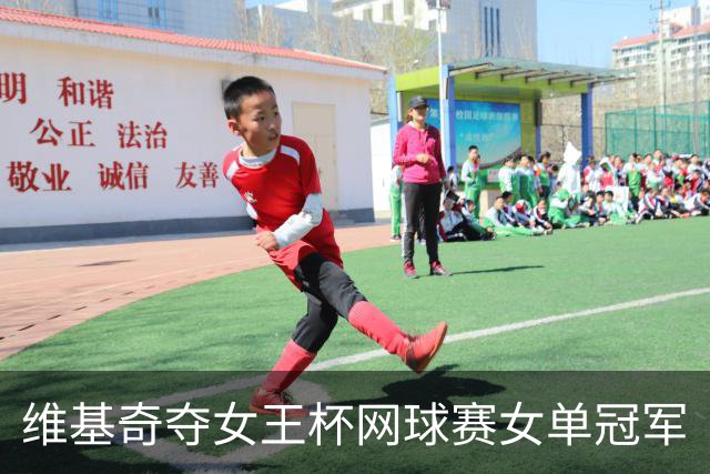 维基奇夺女王杯网球赛女单冠军